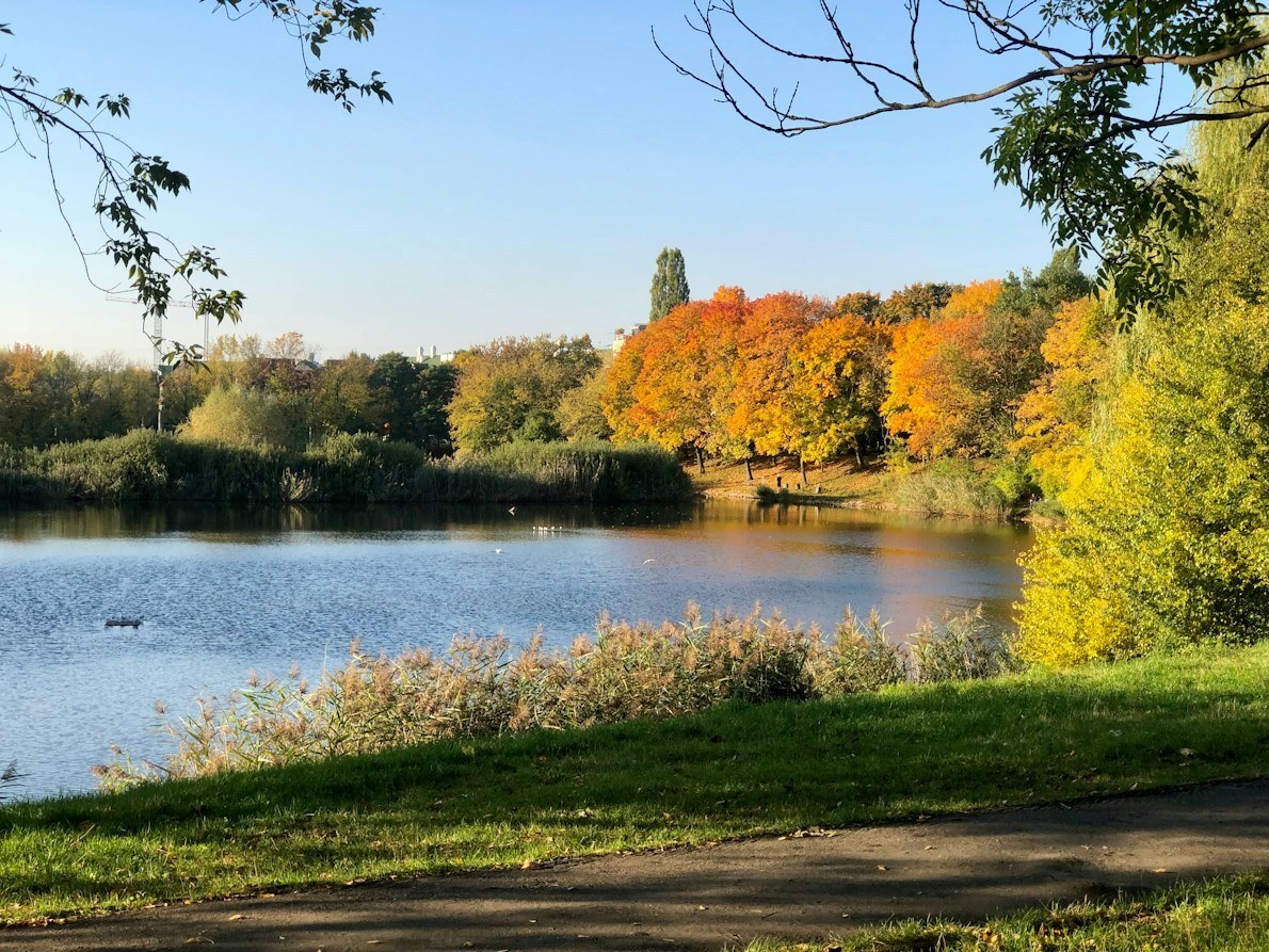 Lake and autumn trees in Szczęśliwicki Park in Warsaw