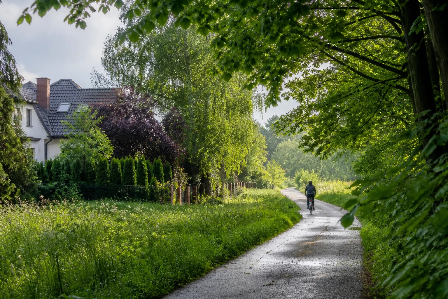Green lower-density residential lane in northern Warsaw Białołęka