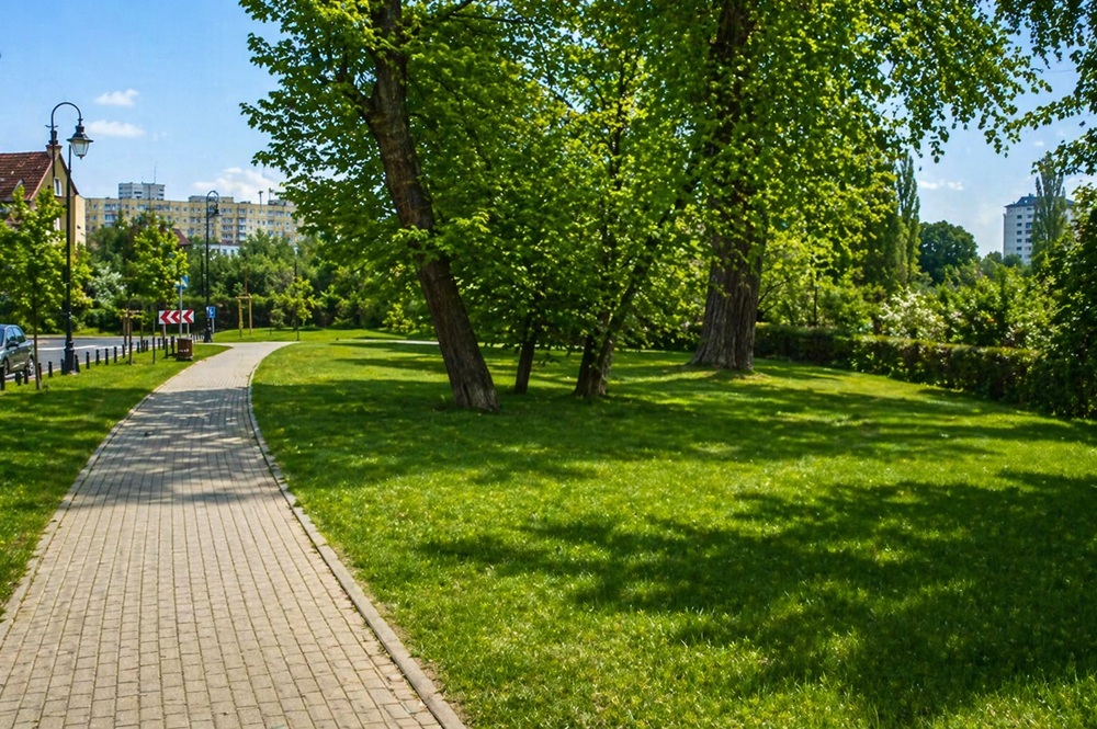 Żoliborz Warsaw — tree-lined streets and established residential character
