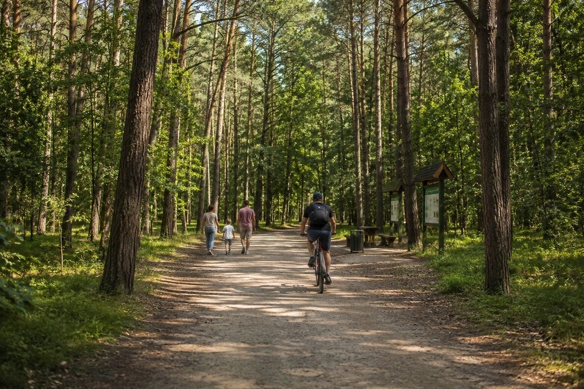 Walking trail through Bielański Forest in Warsaw